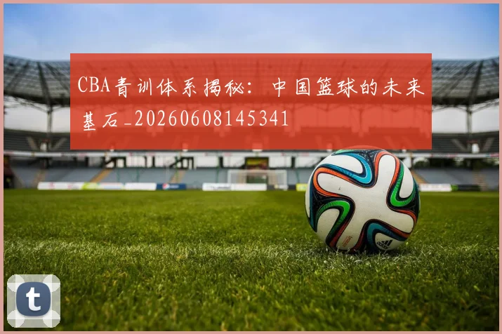 CBA青训体系揭秘：中国篮球的未来基石_20260608145341