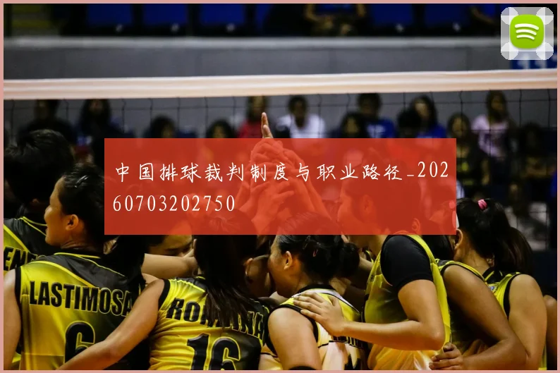 中国排球裁判制度与职业路径_20260703202750