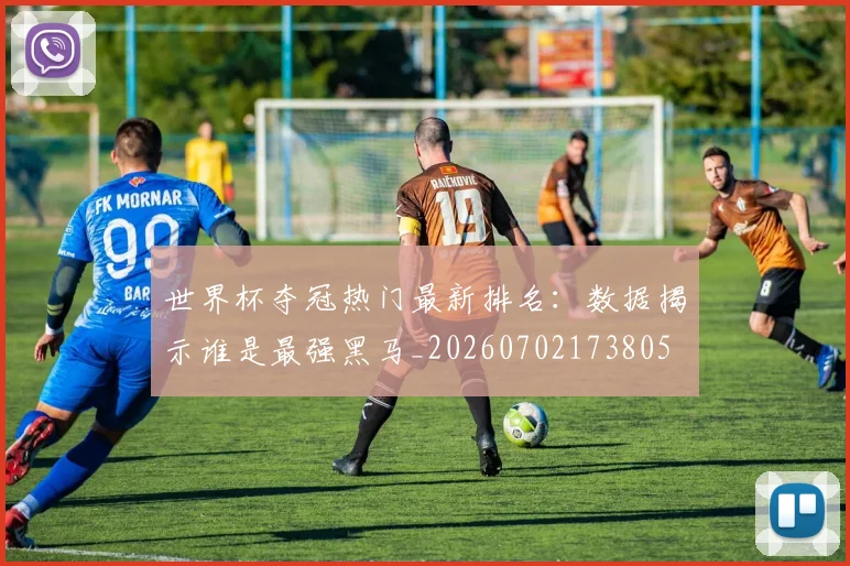 世界杯夺冠热门最新排名：数据揭示谁是最强黑马_20260702173805