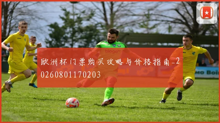 欧洲杯门票购买攻略与价格指南_20260801170203