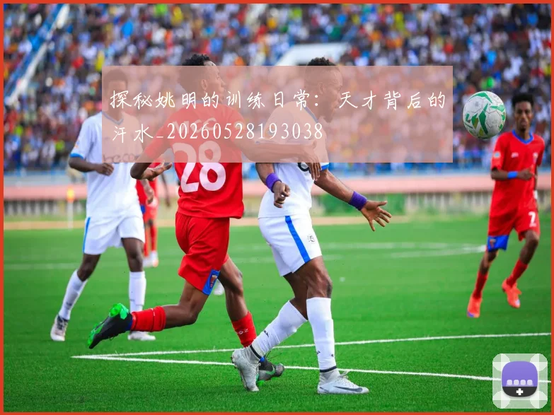 探秘姚明的训练日常：天才背后的汗水_20260528193038