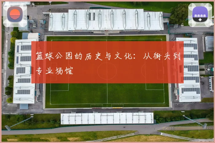 篮球公园的历史与文化：从街头到专业场馆